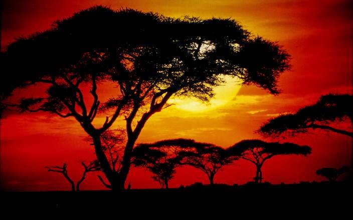 4-Day Best Tanzania Safari Tours